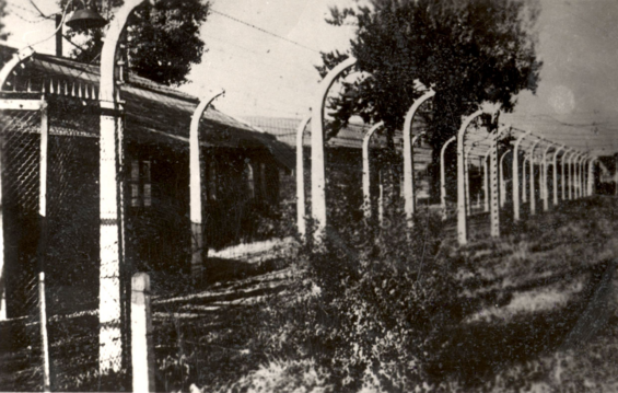Stutthof, Poland, A view of the camp.; Quelle: YV AS 17G01.