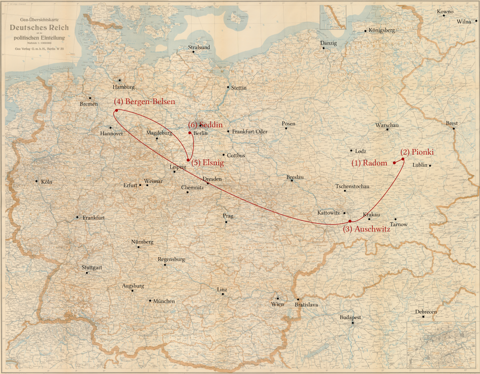Lola Salzmann - Stationen ihrer Verfolgung -   Ghetto Radom, Zwangsarbeitslager Pionki, KZ Auschwitz, KZ Bergen Belsen,  KZ Elsnig, KZ Seddin