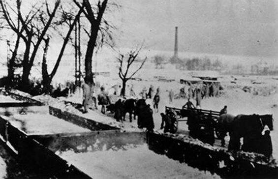 Auschwitz: Ladearbeiten_yv98905.jpg